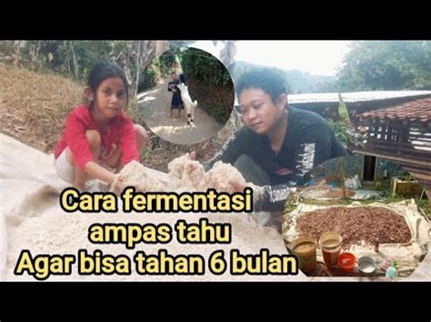 Cara Fermentasi Ampas Tahu Agar Bisa Tahan Lebih Lama Untuk Pakan