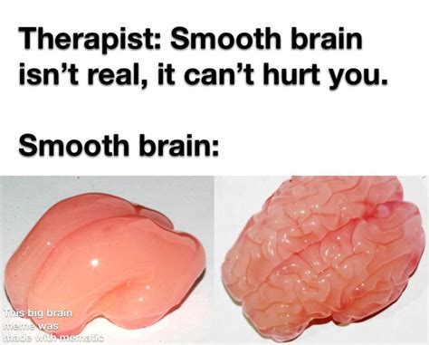 Smooth Brain : memes