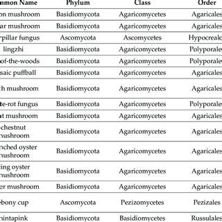 Taxonomic Classification Of Mushrooms That Are Sources Of BPs Belonging