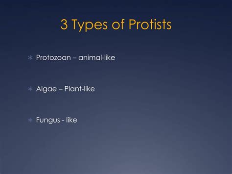 Ppt Protist Powerpoint Presentation Free Download Id1700325