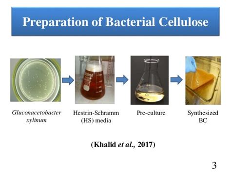 Applications of bacterial cellulose