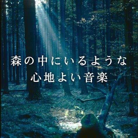 Dream House 森の中にいるような心地よい音楽 Ototoy