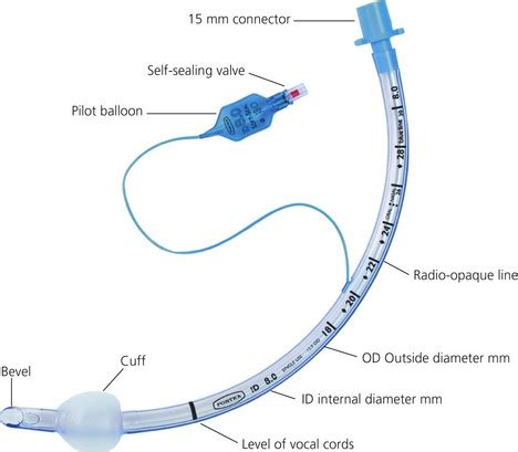 Endotracheal Tube Size Right