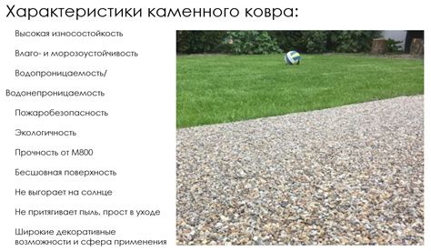 Каменный ковер - эстетичное, натуральное, долговечное покрытие купить в ...