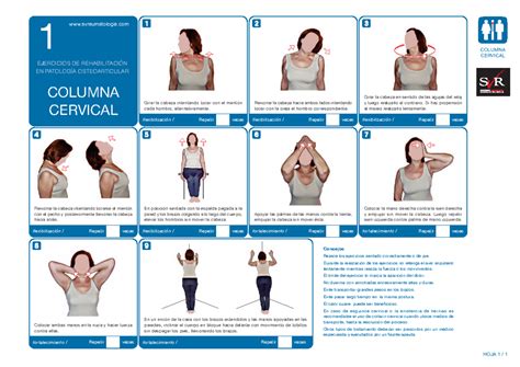 1 Ejercicios para columna cervical - CERVICALCOLUMNAEN PATOLOGÍA ... 