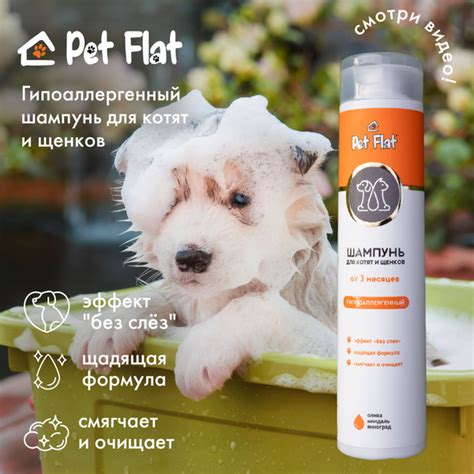 Шампунь для котят и щенков PET FLAT гиппоаллергенный - купить с ...