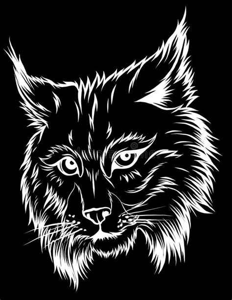 Illustration Vectorielle Isol E Du Lynx D Eurasie Vecteur Main Dessin