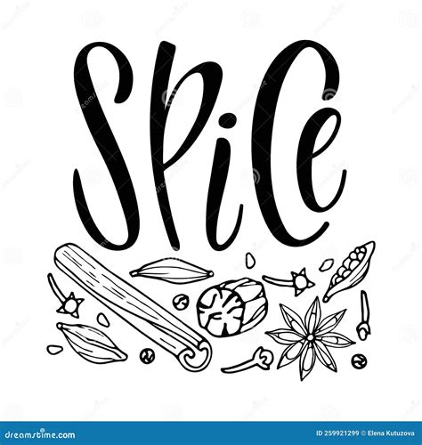 Spice Shop Logo. Doodle Outline Vector Spices with Lettering. Organic