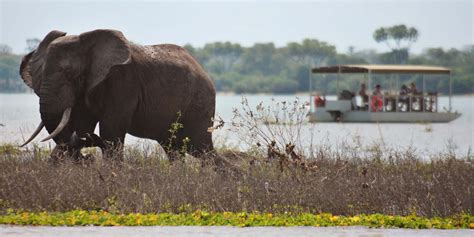 Tanzania Safaris | Luxury Bespoke Vacations | Yellow Zebra Safaris