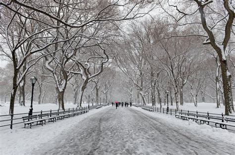 Central Park during Middle of Snowstorm with Snow Falling in New York ...