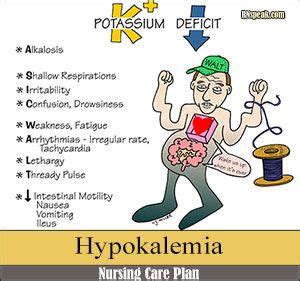 Hypokalemia nursing care plan – Artofit