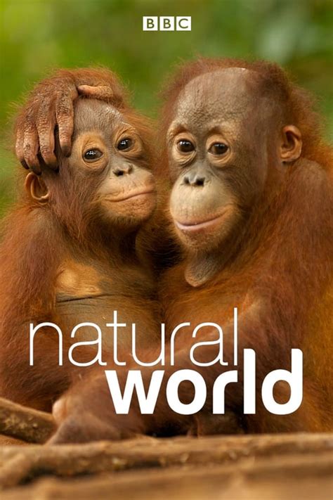 Natural World Tv Series 1983 — The Movie Database Tmdb