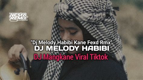 Dj Melody Habibi Kane Fexd Rmx Dj Melody Habibi Youtube