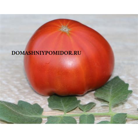 Козула 174/ 1 ( Kozula 174/ 1, (malinowy spłaszczony samok. x Dyno) x ...