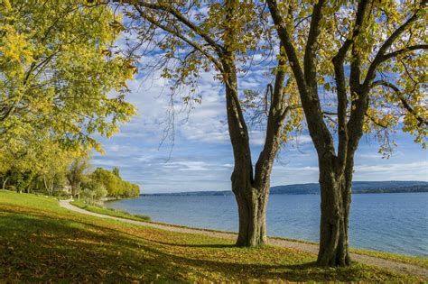 11 Traumunterkünfte für Urlaub mit Hund am Bodensee