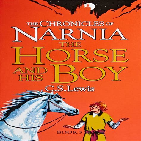 The Chronicles Of Narnia - (Set Of 7 Books) — Toycra