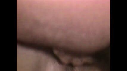 Tasha Voux Porn Star Videos