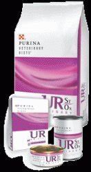 Amazon.com : Purina UR Urinary Tract Cat Food 24 5.5-oz cans by Purina ...