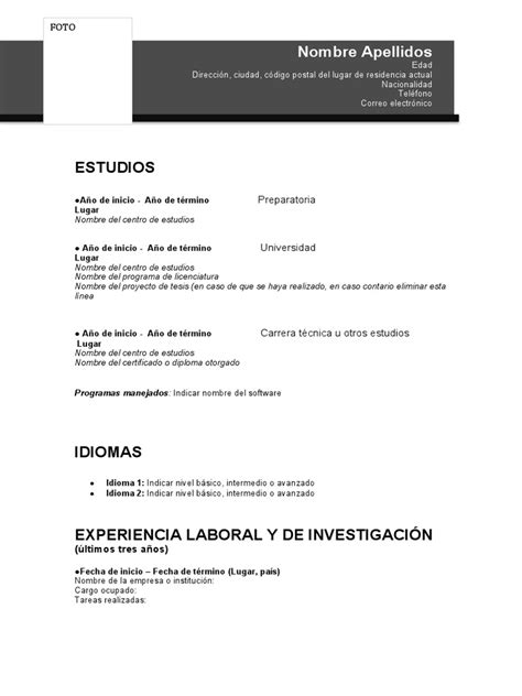 Formato Curriculum | PDF