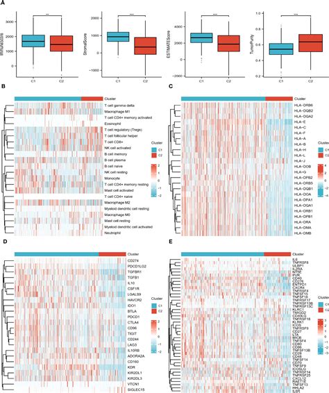 Frontiers Prognostic And Tumor Microenvironmental Feature Of Clear