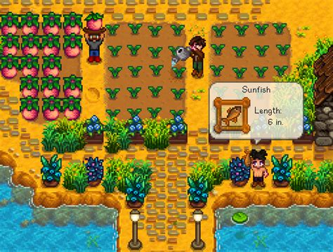 Stardew Valley Multiplayer Goes Live