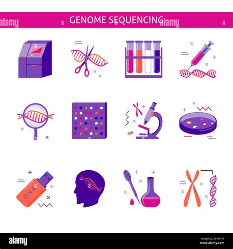 Collection Of Dna Research Icons In Flat Style Genome Sequencing