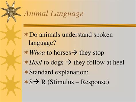 PPT - Animal Language PowerPoint Presentation, free download - ID:6416656