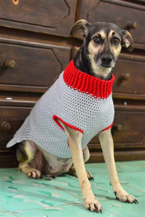 The Doggy Sweater Size Medium Crochet It Creations