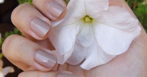 Notd Essence Nude It Anda Zelenca Blog