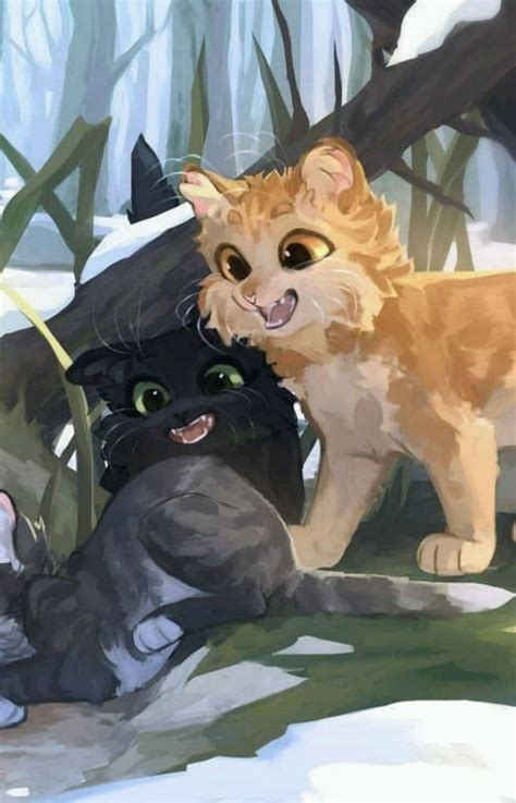 Арты на тему коты воители | Иллюстрации кошек, Любители кошек, Кот-воитель