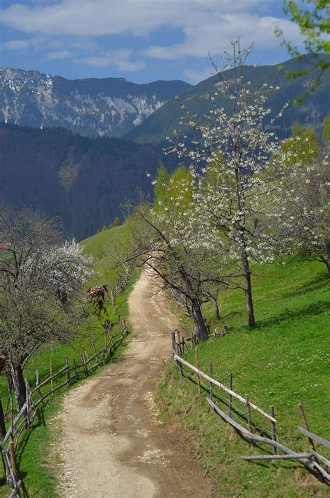 Măgura cel mai frumos sat din Europa Coltisor de Romania