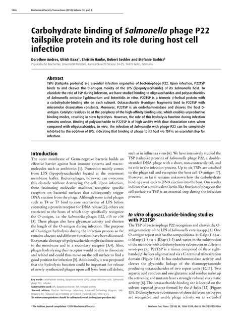 PDF Carbohydrate Binding Of Salmonella Phage P22 Tailspike Protein