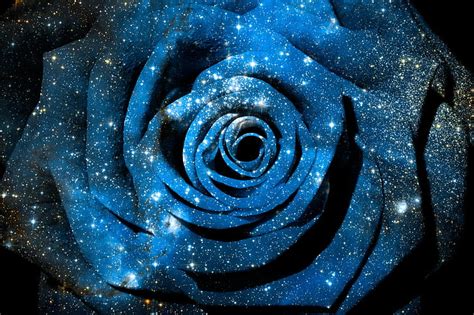 Wallpaper Galaxy Roses đẹp Và Tuyệt đẹp Nhất