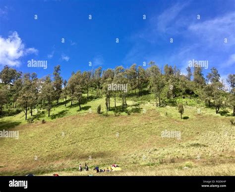 Mount Semeru Hiking Stock Photo - Alamy