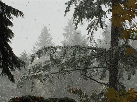 Snow Day at St Edwards park! : r/Seattle