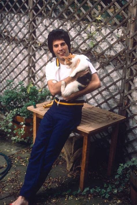 Freddie Mercury Loved His Cats Like Children And Cat Lovers Everywhere ...