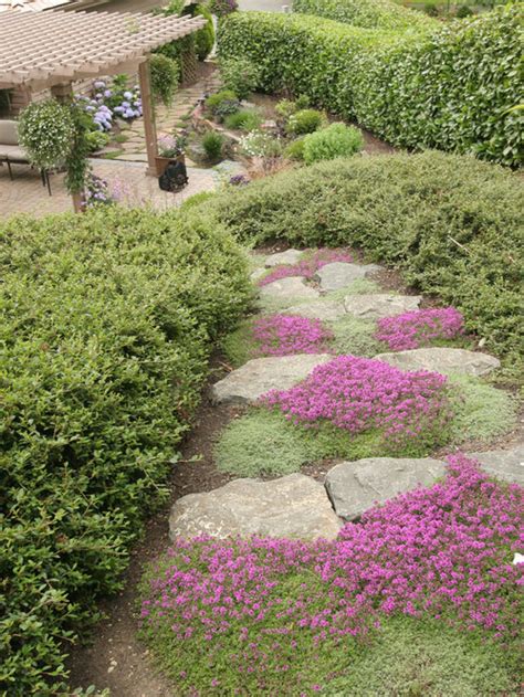 Flowering Ground Cover Home Design Ideas, Pictures, Remodel and Decor