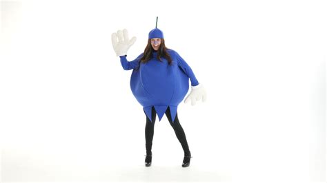 Adult Blueberry Costume