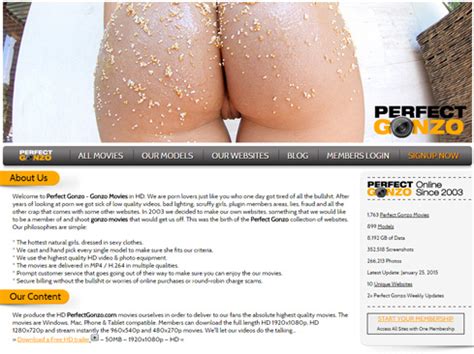 Perfect Gonzo Porn Videos