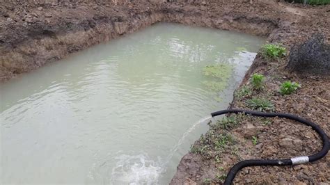 Filling Up The Mud Pond Day 7 Almost Full Youtube