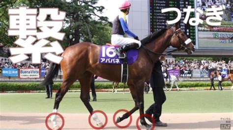 競馬場のパドックの見方。パドック解説者の悪口（笑）。 浅次郎のどんぶり競馬2