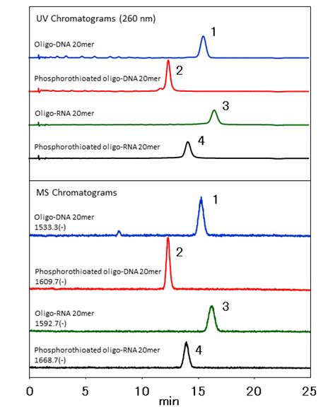 Shodex 다양한 Oligonucleotide 올리고뉴클레오타이드 분석 BRIC