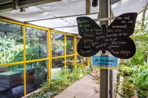 Le Jardin Des Papillons Du Parc Floral A Rouvert Au Public Paris