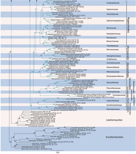 An Updated Phylogeny Of Sordariomycetes Based On Phylogenetic And