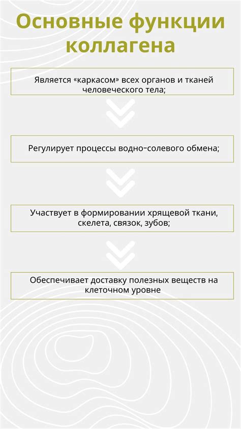 Коллаген - что это такое, зачем он нужен и как его принимать