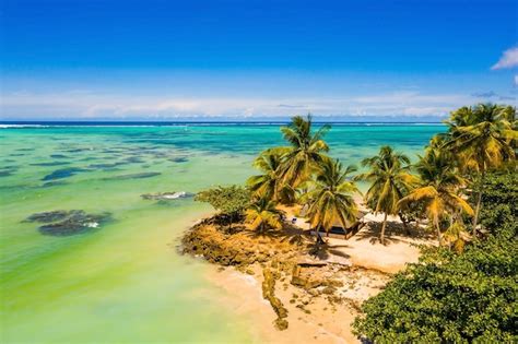 Premium Photo | Aerial view of the tobago cays in st-vincent and the ...