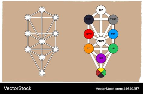 Kabbalah Sephiroth Tree Of Life Isolated Vector Image