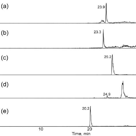 Extracted Ion Chromatograms For Mz A 442 B 604 C 484 Download Scientific