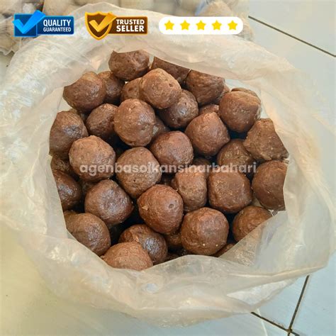 Jual BAKSO BASO IKAN SINAR BAHARI BANDUNG 0 5 Bal Bakso Ikan Hitam