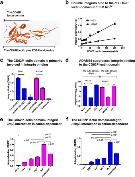 The Lectin Domain Bound To Soluble Integrins V Or Iib In